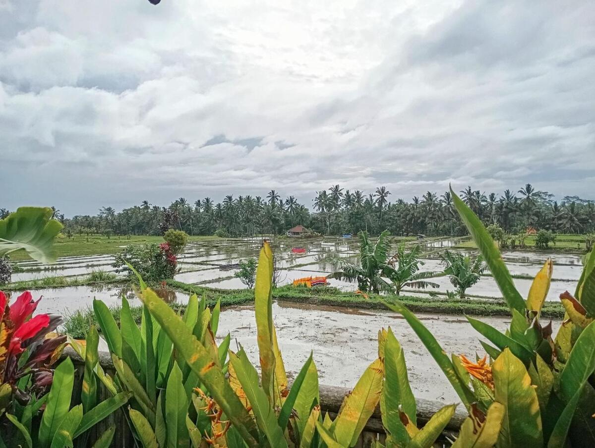 Nyoman Sandat House 1 Ubud Buitenkant foto