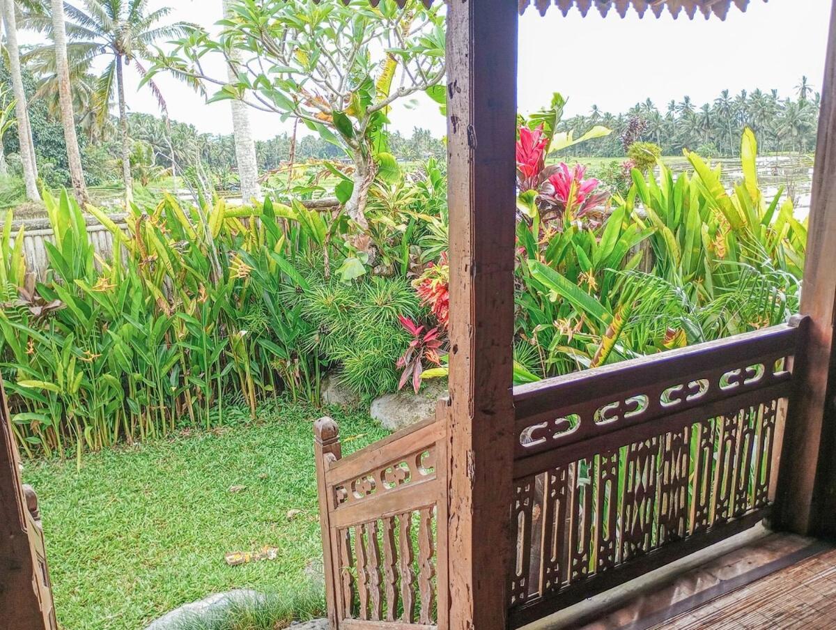 Nyoman Sandat House 1 Ubud Buitenkant foto
