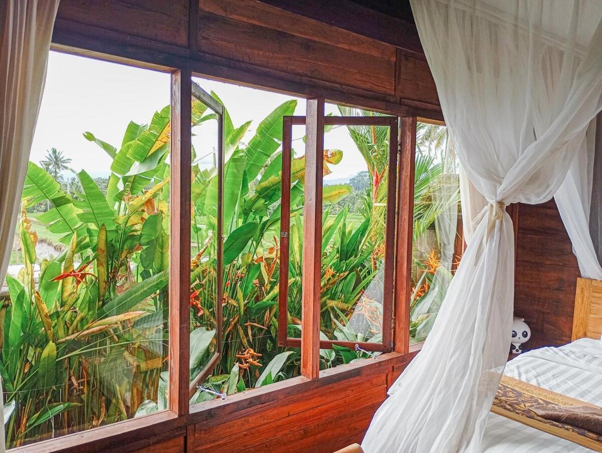 Nyoman Sandat House 1 Ubud Buitenkant foto