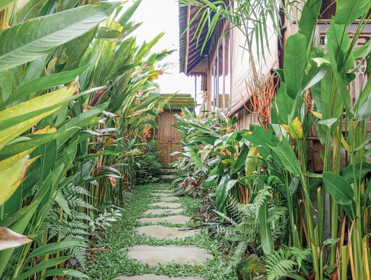 Nyoman Sandat House 1 Ubud Buitenkant foto