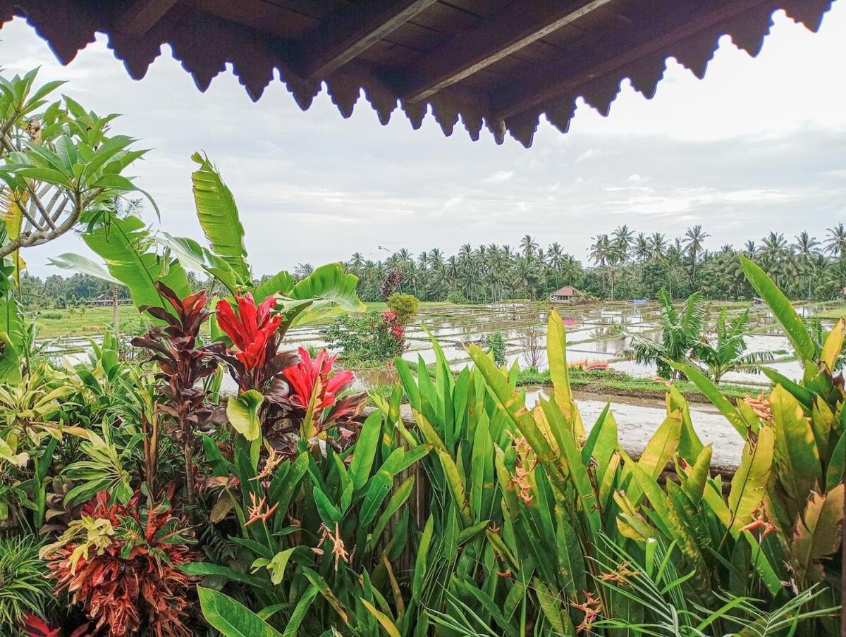 Nyoman Sandat House 1 Ubud Buitenkant foto