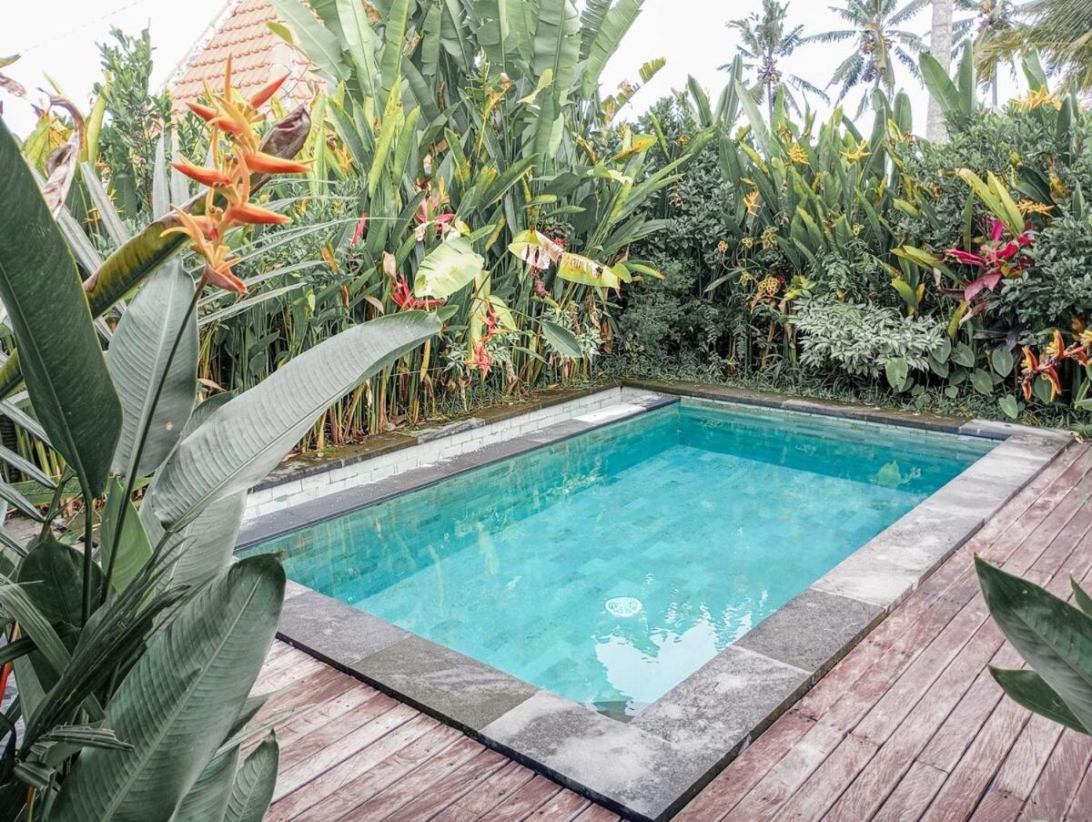 Nyoman Sandat House 1 Ubud Buitenkant foto